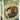 Bier Pioniere | Brettspiel | Spielefaible SPF32058 - Boardgamez